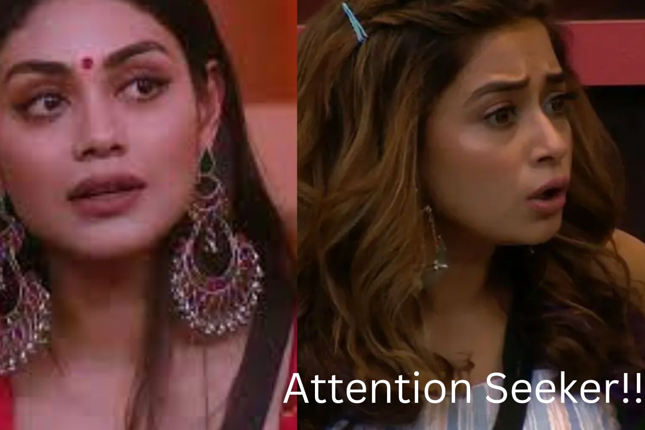 Tina is an attention seeker, especially for those who had a difficult personal past, and a house wrecker- Sreejita De