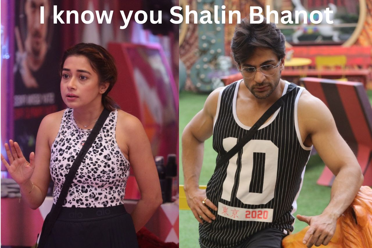 Bigg Boss 16 Update: Tina is no longer going to get Shalin's sweet talk