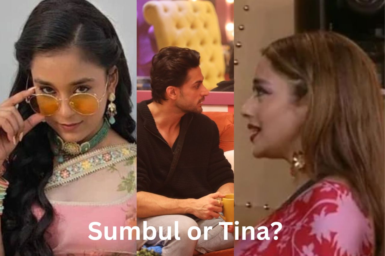 Tina or Sumbul? Who will be nominated from the house?